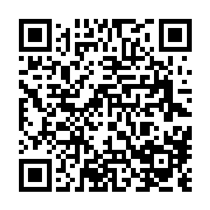 他清晰的记得就是那个人将自己的兄弟一个个送去见了阎王二维码生成
