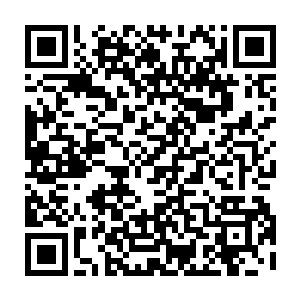 他现在也完全的体会到了自己师娘让自己别和自己师傅一样文盲的原因了二维码生成
