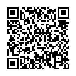 他现在可以确定的是王莲种子对人体是有好处的二维码生成