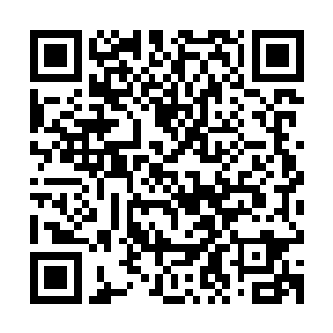 他现在的修为在这样级别的对战中除了送死根本起不到任何作用二维码生成