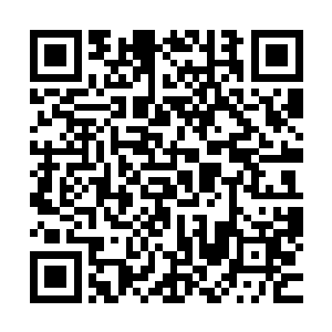 他现在的战力差不多已经恢复到了原本最强盛时期的三分之一二维码生成