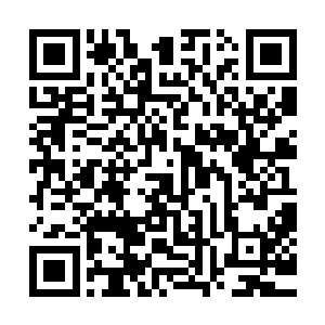 他甚至没有告诉他们太多的东西他们就这么跟他来东皇大陆了二维码生成