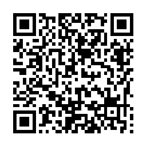 他白清泉和石浩天这样的人在他面前仿佛不过学徒而已二维码生成
