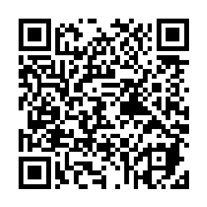 他的一个师弟便冷冷的扔出一枚刻满了元气符文的玉简二维码生成