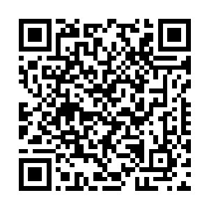 他的全部注意力都放在已经化为一片火海的绿洲上二维码生成