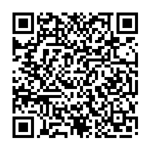 他的好伙伴道格拉斯也消失无踪了……周围除了那不断拍击巨石的海浪声之外二维码生成