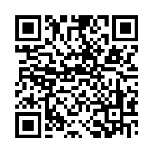 他的师兄弟们脱离了镇云歌的攻击后过来二维码生成