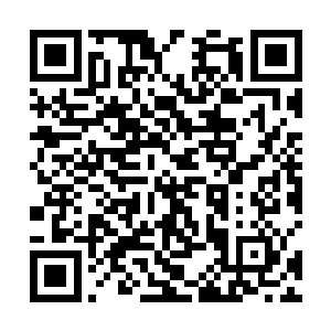 他的控魂术的适用对象是圣兽……哪怕只是圣兽的兽魂二维码生成