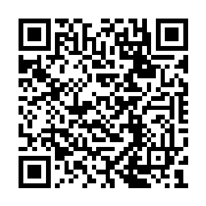 他的注意力已经全部集中在了自己方圆百丈之内二维码生成