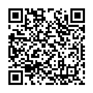 他的注意力更多的还是专注于手上的这个公文袋的二维码生成