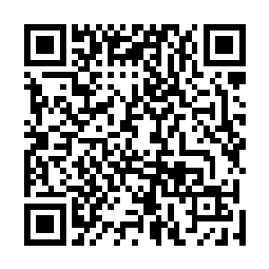 他的眼眸中只徐徐流露出那对着流墨墨时才会出现的温柔二维码生成