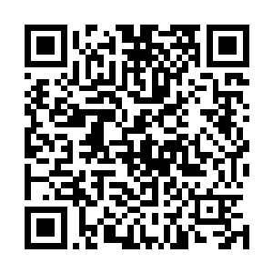 他的确是有一心愿但那心愿必须不是闽侯王能够替他实现的二维码生成