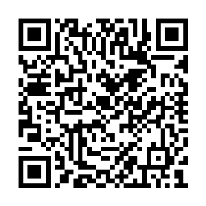 他的血脉们也不可能永远都是自己孩子们的仆人二维码生成