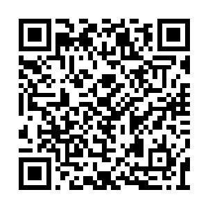 他的表情带着狰狞的恨意和即将大仇得报的喜气二维码生成