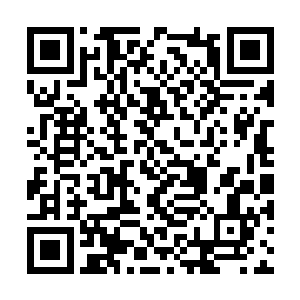 他的这句看在你傻的份上可是再次雷倒了在场的人二维码生成