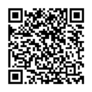 他目光冰冷的看向依然大喊大叫要治他们罪的齐冲和他的乳母二维码生成