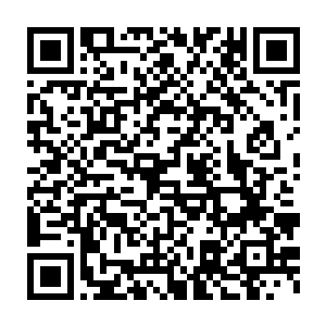 他眼见着任仲撸起袖子将一大堆盆盆罐罐摆放在哪摇摇欲坠的木桌上二维码生成