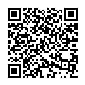 他突然展开翅膀迎了上去手中的骨刺变成了骨箭和骨弓二维码生成