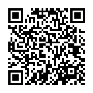 他老人家的意思是让雷天先和其他弟子一起从基础开始修炼二维码生成