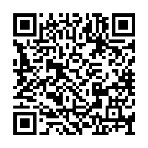 他能看到自己的眉心之中出现了一个白色的光团二维码生成