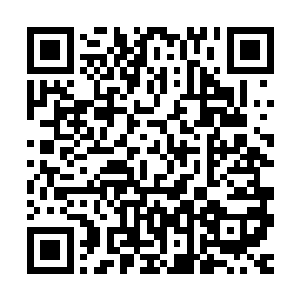 他脑海中又回忆起当年趴在综合商店柜台上做作业的小姑娘模样二维码生成