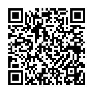 他自己已经非常仔细的用侦查技能检查过整间屋子的二维码生成