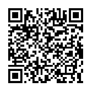 他自己恐怕也不太清楚自己已经是龙族的一员了二维码生成