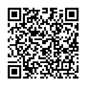 他若是在今日动手岂不是将伤害北辰陌的嫌疑往自己身上揽吗二维码生成
