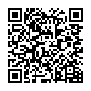 他虽然感觉出四周的灵气好似比普通的地方要强上几分二维码生成