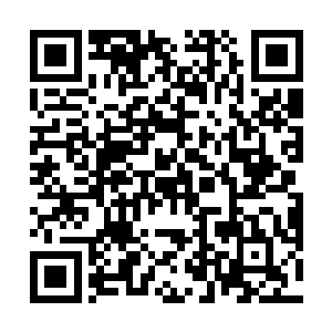 他虽然明白眼前这个年轻人要阻止自己是为了保护秦方二维码生成