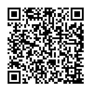 他被扔进了他爹处理公事的大书房得到了一张堪称丧心病狂的作息表二维码生成