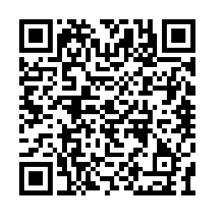 他见过的天庭不少达官显贵的家人身上都看不到二维码生成