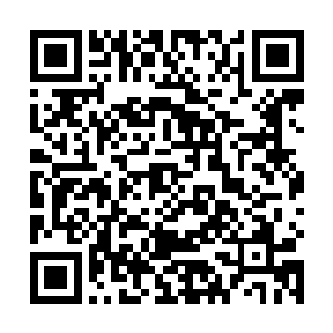 他觉得我完全可以把我储物戒内的混沌之气给吸收完毕二维码生成