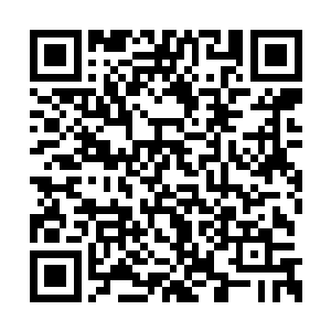 他觉得自己今晚前来参加这场拍卖会就是个错误二维码生成