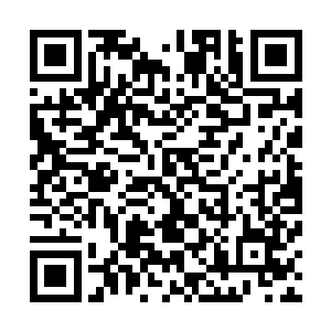 他说到和我们一起在阿根廷合作的生意已经开始获得回报了二维码生成