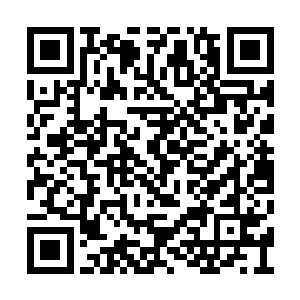 他说变色龙要去找费雷奥家找他的女儿上床去了二维码生成