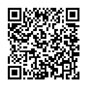 他说完之后将之前那只被季宸渊击落在地的野鸡捡了起来二维码生成