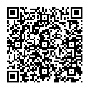 他说的开发区周围一些社饆会上的混子都在觊觎开发区开发起来的各种土建工程并非虚言二维码生成