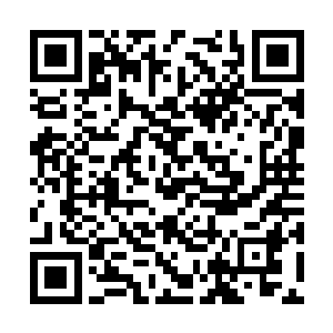 他跟范前辈接触上后你胜大哥决定亲自带前辈回国二维码生成