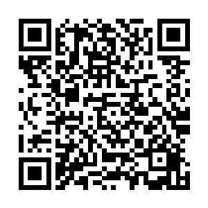 他身上最宝贝的材料就是胸前胸后使用法米亚成分的金属板二维码生成