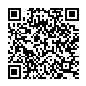 他身体中的那股生命力肯定是来自通天树的树心精髓二维码生成