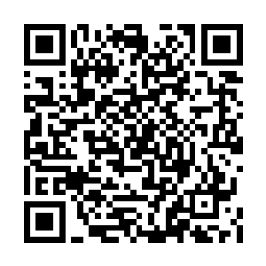 他还幻想着自己战胜这两个号称最天才的人物呢二维码生成