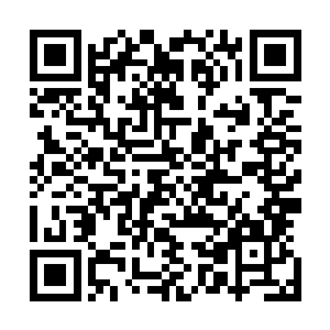 他还跟夏洛克果讲了他主导下开展的建设和开发九环的项目二维码生成