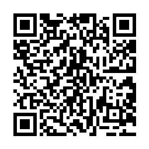 他这回能确定师丝桐来这儿的确是因为流墨墨才来帮他的二维码生成