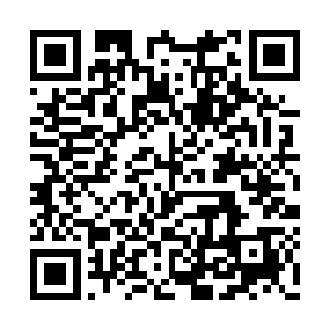 他这辈子还没见过比姚老太爷更不要脸的老东西二维码生成