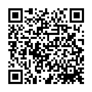 他连忙取出一粒猩红如血散发出炽热气息的丹药吞服而下二维码生成