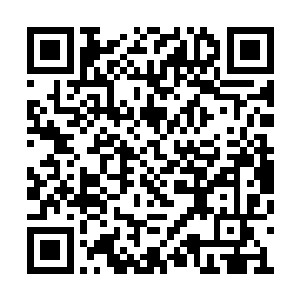 他那利用自身精血结合了无数天材地宝炼制而成二维码生成