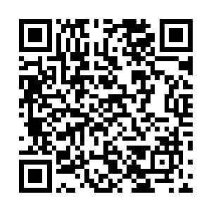 他除了在一遍遍的祈祷老天爷让她活着外只思考了一件事二维码生成