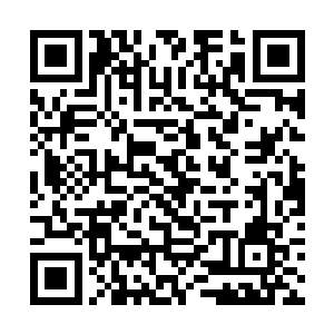 他面对的可是魔法天赋值达到九百的稀有双系魔法师二维码生成