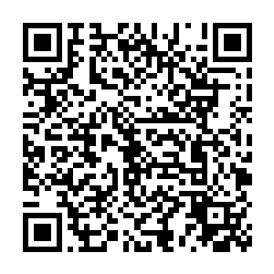 他领导的革新派在四大家族和圣约同盟的双重夹击下根本没有任何机会二维码生成